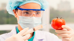 Análises Bromatológicas