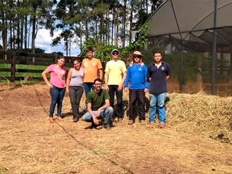Visitas Técnicas