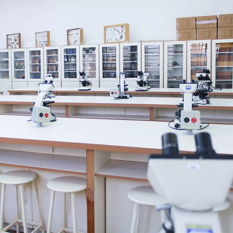 Laboratório de Anatomia
